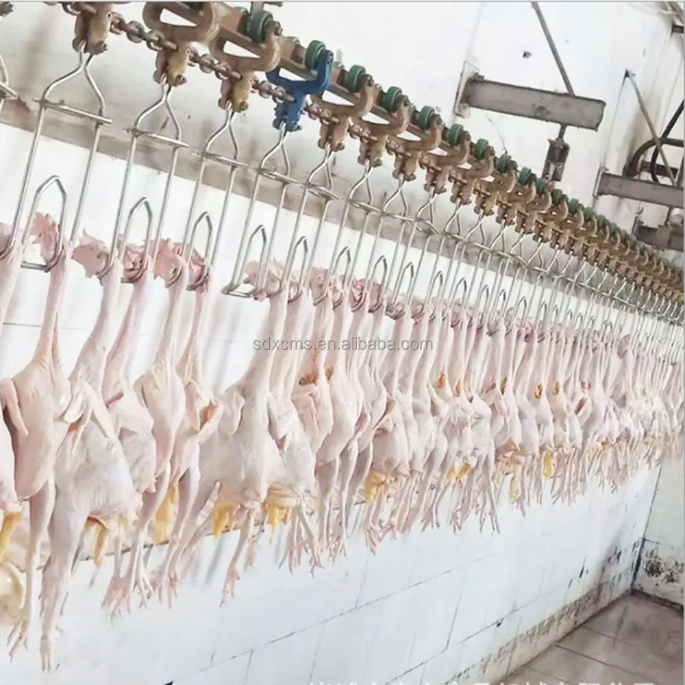 2024 200-10000BPH linha de equipamentos para matadouro de galinha, pato e peru hahal