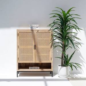 Vandana Arista Radiant, Mueble de Ratán de Dos Puertas y Aparador para Interiores de Hogar Modernos y Elegantes - Product Image 1