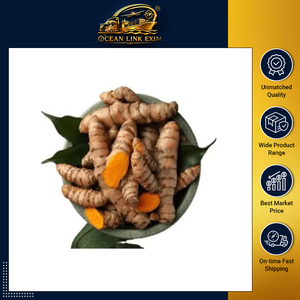 ขมิ้นชันคุณภาพสูง แท้จากธรรมชาติ อบแห้งทั้งราก สีเหลืองสด สำหรับปรุงอาหาร นำเข้าจากอินเดีย - Product Image 2