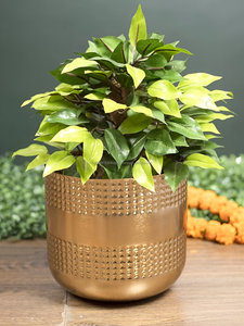 Maceta martillada de oro duradero de alta calidad para interior/exterior, sala de estar, balcón, jardín, maceta, decoración del hogar, suelo de diseño - Product Image 4
