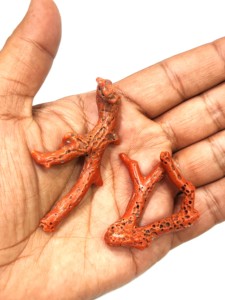 Nuggets de Coral Natural Italiano en Forma de Rama, de 2 a 3 Pulgadas, Rojos, de Forma Libre, Piezas Grandes y Gruesas - Product Image 2