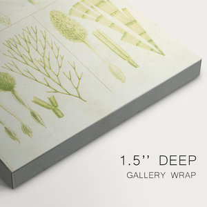 Vintage Sea Grass III lienzo pared arte estilo costero para decoración náutica - Product Image 3