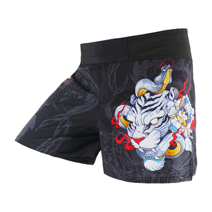 Shorts MMA pour hommes, séchage rapide, respirants, taille élastique, shorts de combat, logo personnalisé, short d'entraînement de boxe - Product Image 5