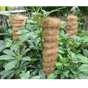 Postes de Soporte para Plantas Trepadoras Coco Grow para Jardines Domésticos e Invernaderos del Fabricante Líder 100% Orgánicos y Biodegradables - Product Image 3