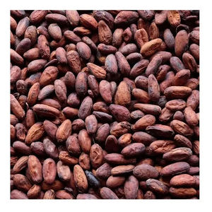Venta al por mayor de granos de cacao de la mejor calidad a precio económico - Product Image 3