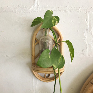 Nueva flor decorativa moderna nórdica forma curva Pantalla de ratán Natural tipo montado en la pared estante Vietnam - Product Image 3