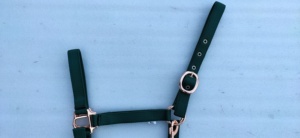 En gros : Collier de tête pour cheval en nylon premium, Produits équestres, Licol, Bridon, Collier de tête - Product Image 4