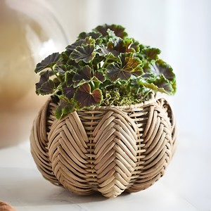 Accesorios de decoración para el hogar, macetas tejidas a mano de ratán premium, macetas de jardín más vendidas. - Product Image 6