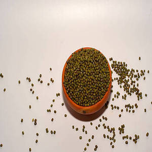 Poudre d'Isolat de Protéine de Haricot Mungo Indien FitTree 100% Protéine Végétale Premium, Boissons Protéinées Végétales, Formules Nutritionnelles Sportives, Alimentation - Product Image 2