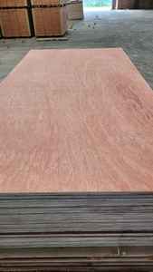 Contreplaqué commercial moderne avec face en bois dur mélangé Bintangor/Okume/Pin, colle E2/E1, pour appartement, design eucalyptus - Product Image 3