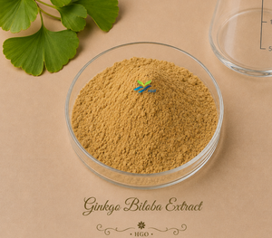 Fourniture directe d'usine HGO d'extrait de Ginkgo Biloba naturel pur (qualité alimentaire santé) 24% flavonoïdes (extrait standardisé) - Product Image 1