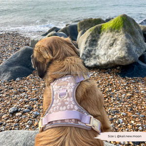 Harnais <span class=keywords><strong>pour</strong></span> <span class=keywords><strong>chien</strong></span> Petkaa Fashion Jacquard, logo personnalisable, luxe, confortable, durable, anti-traction, avec laisse, collier, porte-sac à déjections, nouveauté - Product Image 6