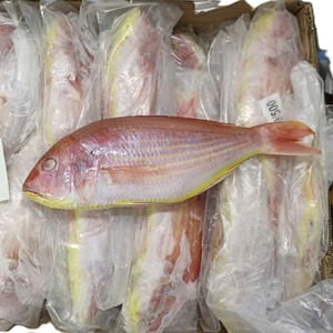 Frozen Whole Round Threadfin Bream IQF Vacuum Pack Customizable <b>Weight</b> 24 Months Shelf Life DAI TIEN VINH for Consumption Cooked - Product Image 3