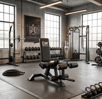 Équipement de musculation DW SPORTS, machine à flexions et extensions des jambes avec banc de musculation réglable, ensemble de barres et poids