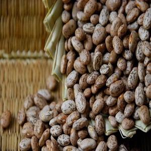 Haricots Pinto en vente : saveur exceptionnelle, qualité constante et prix de gros compétitifs pour les entreprises agroalimentaires - Product Image 5