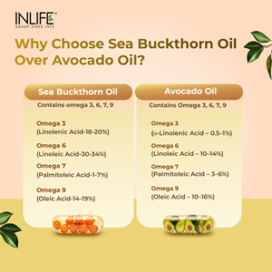 Sea Buckthorn Seed Oil 500mg Capsules Omega 3 6 7 9 Vegetarian HPMC Capsules Adult Daily Nutrition - Product Image 2