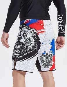 Pantalones Cortos de MMA para Hombre, con Estampado de Paneles, Cintura Elástica, para Entrenamiento en Gimnasio, Kickboxing, Ligeros, de Secado Rápido, Coloridos - Product Image 6