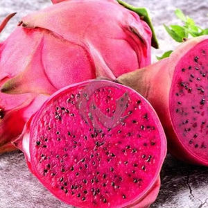 Prix Compétitif, Origine Vietnam, Tranches de Fruit du Dragon Séché Premium, Certifié HACCP ISO, Durée de Conservation de 12 Mois - Product Image 1