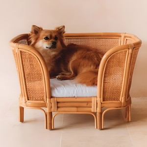 Webbing rattan cat <b>bed</b> on legs stylish pet furniture competitive price dog <b>nest</b> puppy sofa <b>beds</b> - Product Image 4