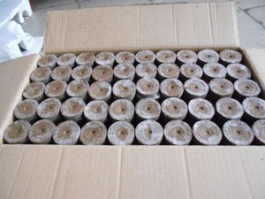 Puces de cosses broyées à la noix de coco lavée 5kg Bloc pressé Low EC prêt pour la plante Briques de coco de haute qualité en vrac pour l'exportation - Product Image 3