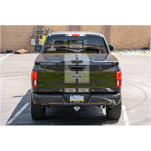 Ford Shelby F-150 4x4 2019 - Product Image 2
