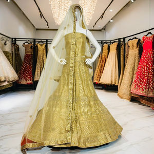 Elegante Zarna 16 Kali Net Lehenga Full Glitter Jarkan Stone Mirror Shisha Big Flare Can-Can Heavily Indian Pakistani Dress - Product Image 1