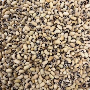 Guisantes negros premium con excelente contenido proteico y frescura naturalmente conservada para consumo alimentario - Product Image 6