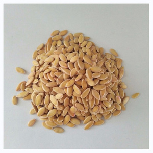 Graines de melon en vrac à prix attractif - Product Image 2