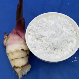 Poudre d'amidon d'arrowroot biologique, goût naturel, pour aliments et ingrédients, emballée en sachet, provenant du Vietnam - Product Image 1