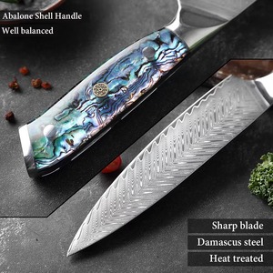 Juego de Cuchillos de Chef de 10 Piezas Hechos a Mano por Edge Master, Acero de Damasco de 33 Capas, Mango de Resina, Funda de Madera, Hoja Ambidiestra de 3.9 Pulgadas - Product Image 6