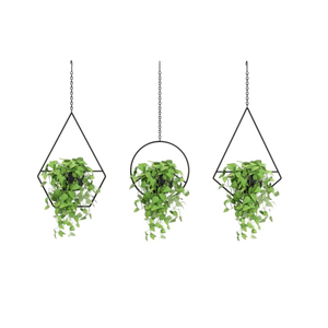 Ensemble de jardinières suspendues pour plantes d'intérieur, pots à fleurs en métal doré à fixer au mur et support minimaliste pour plantes pour le salon - Product Image 4