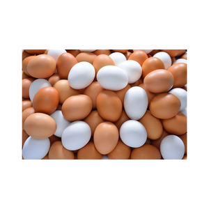 Huevos de Gallina Marrones al por Mayor con Larga Duración de Frescura para Empaque Minorista y Mercados de Comercio Internacional - Product Image 4