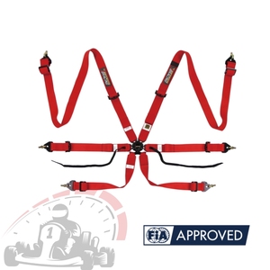 TBRACING Sport Plus Racing Harness With Patented <b>Elastic</b> Stabilizing Band For Secure Seat <b>Belt</b> Positioning Custom Logo & Color - Product Image 2