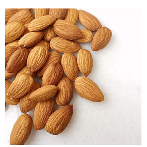 Amandes brésiliennes de qualité supérieure 100% - Torréfiées, crues ou transformées - Product Image 1