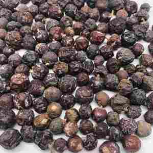 Bayas de Junípero Secas Naturales, Nueva Temporada 2026, Orgánicas, Calidad Premium, Venta al Por Mayor, Exportación, Empaque de Marca Privada - Product Image 4