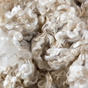 Fibre de laine de mouton 100% pure avec une épaisseur de 28-34 microns pour le fil de tapis, fibre de laine de haute qualité pour le fil à filer - Product Image 6
