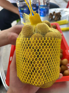 Idor Longan cultivado naturalmente de Vietnam, fruta dorada dulce para exportación, larga vida útil, empaquetado para consumidores globales - Product Image 3