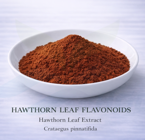 HGO Suministro directo de fábrica Extracto de hoja de espino natural puro (Crataegus pinnatifida) (grado alimenticio) Flavonoides de hoja de espino 15% - Product Image 4