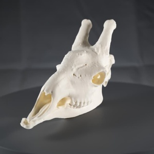 Tradebyd Premium Resin Animal Sculpted <b>Statue</b> Artistic Decorative Figurine for Collectors and Gifting Buyers - Product Image 1