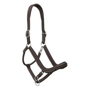 Durable Traditional English Horse <b>Head</b> Collar Comfortable Fit for Daily <b>Training</b> and Handling Horse <b>Head</b> Collar OEM Service - Product Image 5