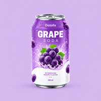 Datafa OEM/ODM Hotseller Frisdrank Perzik smaak |   Aangepast logo-ontwerp voor smaakproducten