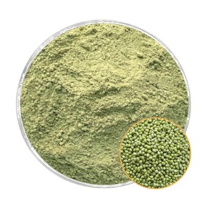 Organic Mung Bean Powder Premium Grade Superfood Ingredient Available in Bulk Packaging - Product Image 2