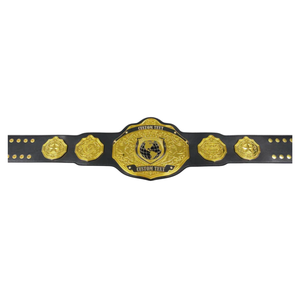 Ceinture de champion personnalisable, qualité supérieure, cuir noir avec détails dorés, option de texte personnalisé - Product Image 1
