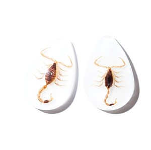 Cabochon Golden Scorpion Pear Shape cut <b>top</b> 25x17 mm White Flat Bottom for Crafts and Jewelry Making - Product Image 4