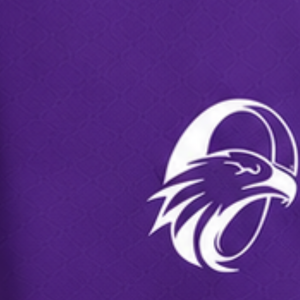Customized Purple <b>White</b> Rugby <b>Shorts</b> Team Uniform Breathable Lightweight Custom Training Sportswear Athletic Performance <b>Shorts</b> - Product Image 6
