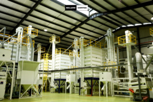 คอมโบ 3 แพ็ค x100 กรัม กาแฟคุณภาพส่งออก บรรจุภัณฑ์แบบดั้งเดิมและปรุงแต่งรสชาติ กาแฟบด เหมาะสำหรับใช้ในครอบครัว - Product Image 2