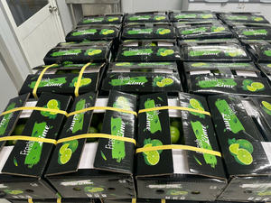 Lima sin semillas de Vietnam de grado premium para envíos mayoristas e internacionales - Product Image 2