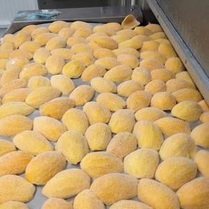 Frozen Mango Slices Packed For Bulk Frozen Mango Slices Ideal For Desserts Smoothies Beverages And Recipes - Product Image 4