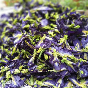 Increíble Flor de Guisante Mariposa Azul |   Té de Hierbas Secas |   Alta Calidad - Product Image 1