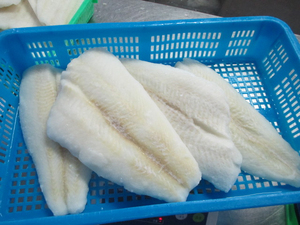 Meilleure Qualité Vente en Gros de Flounders Congelés en Vrac Qualité Alimentaire Premium Stock Prêt à l'Exportation - Product Image 6